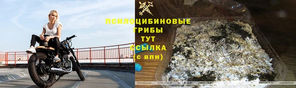 крисы Алзамай