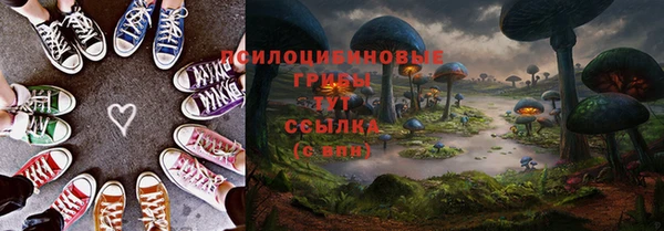 МДПВ Алексеевка