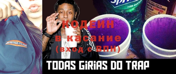 крисы Алзамай