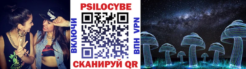 где найти наркотики  Чебоксары  Псилоцибиновые грибы Cubensis 